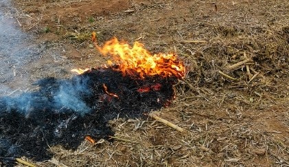 刘捷在秸秆焚烧治理工作协调会上强调 疏堵结合久久为功 打响秸秆焚烧治理攻坚战